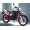 TORO REX 250CC 